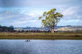Blackwood Park Cottages Mole Creek - Mole Creek - 9