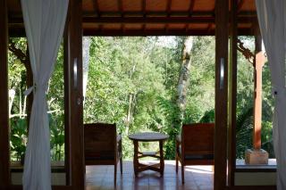 Saridevi Ecolodge - Jatiluwih - 8