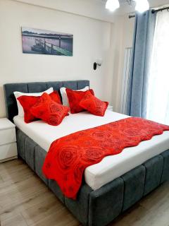 Elenis-Apartament langa mare - 7