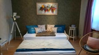 FWO-1-Zimmer-Apartment - Goslar - 0