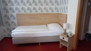 Hotel Flora - Mariánské Lázně - 1