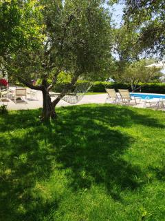 Kassiani Studios Olive Groove hotel - 2