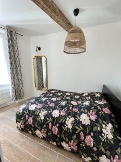 Superbe appartement au coeur du Mourillon refais à neuf proche des plage - Tolone - 1
