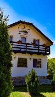 Pensiunea Casa Ghica - Valea Sălciilor - 4