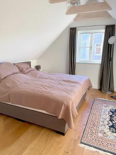 Premium Ferienhaus Söss Diek in Groß Schwansee - Kalkhorst - 2