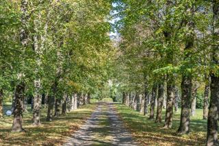 Château du Chambon - 7