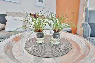 Möwenberg-Residenz Möwenberg-Residenz Appartement 1 - 1