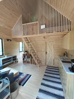 Zdalnie z Lasu - Siedlisko w Puszczy Białowieskiej - 2