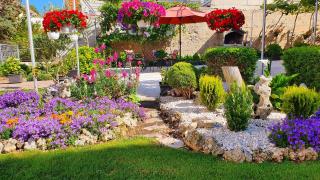 Guest House Antonia - 1