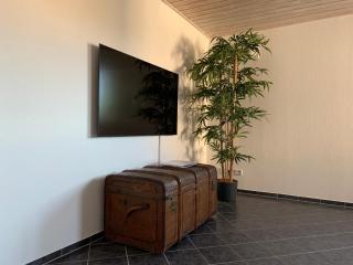 Ferienwohnungen AVIVA Bodman - Urlaub in unmittelbarer Seenähe - 1