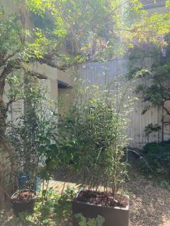 Studio chez l’habitant - Mareuil-sur-Cher - 2