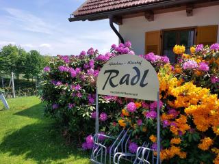 Gästehaus - Camping- Weinhof Radl - Klöch - 8