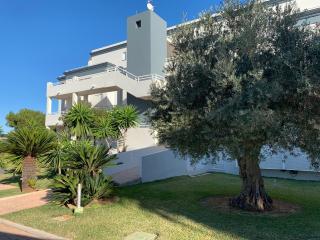 Blue Oliva Nova MET & Golf - 7