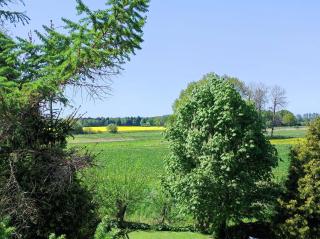 Baldies Tenne in Ostseenähe - Wendorf - 8