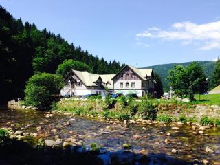 Hotel Hradec - Špindlerův Mlýn - 8