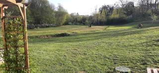 Les saules de queyssac - 9