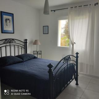 Les saules de queyssac - 2