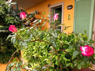 Casa Marta - Massa - 6