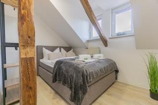 Lausitz-Apartment, 80m2, Waschtrockner, 2 x Parkplätze, Küche, Netflix - 3