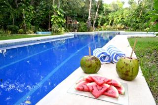 GLASS JUNGLE VILLA with amazing green views -10 min DT - Playa del Carmen - 5