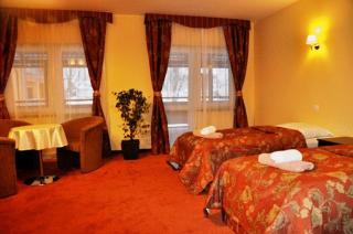 Hotel Karino Spa - Polańczyk - 9