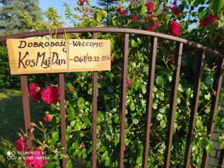 KosMaj Dan Belgrade, Sopot - Belgrado - 9