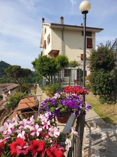 La Casa dei Limoni - Casarza Ligure - 1