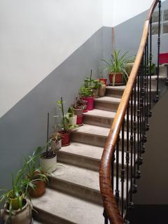 T2 neuf Sète centre ville - 1