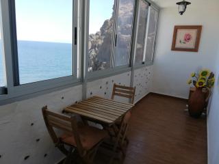 Apartment on the beach and ocean sounds - Fasnia - 9