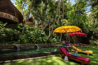 Bamboo Turtles Ecolodge - Ubud - 5