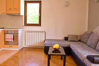 Apartments Kanegra - 7