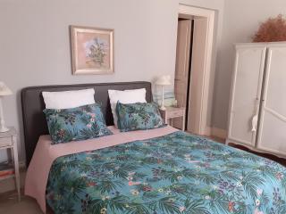 La Fenice Beauval - Saint-Aignan - 3