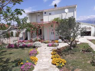 Apartmani Vera - Ražanac - 0