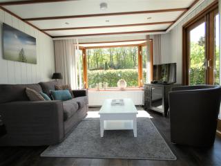 Chalet nr 15 op Bospark Trimunt - Marum - 3