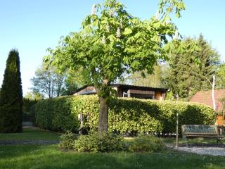 Chalet nr 15 op Bospark Trimunt - Marum - 7