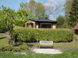 Chalet nr 15 op Bospark Trimunt - Marum - 9