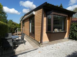 Chalet nr 15 op Bospark Trimunt - Marum - 0