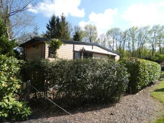 Chalet nr 15 op Bospark Trimunt - Marum - 5