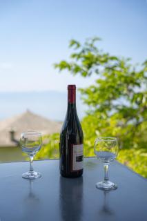 Pelion house with stunning view to relax - Vyzitsa - 3