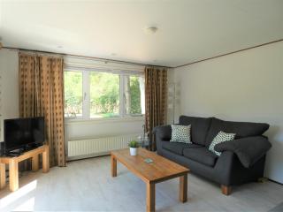 Chalet nr 8 op Bospark Trimunt - Welsum - 4