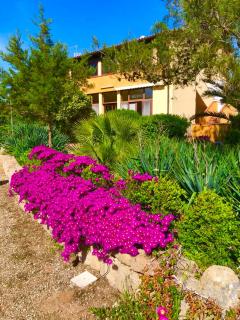 Agriturismo Rocce Bianche - Bungalows - 4