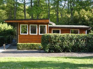Houten chalet nr 19 op Bospark Trimunt - Marum - 0