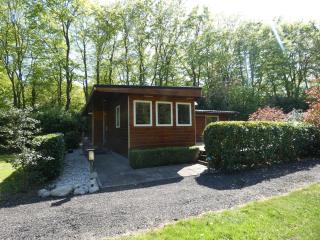 Houten chalet nr 19 op Bospark Trimunt - Marum - 9