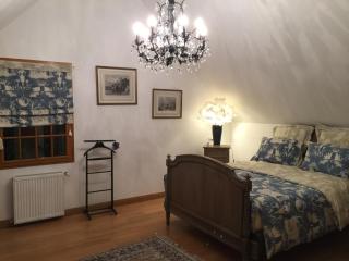 Les Prémices De La Forêt - 3