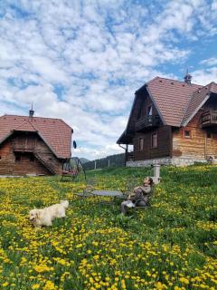 Konaci Zaovljanska jezera - Zaovine - 3