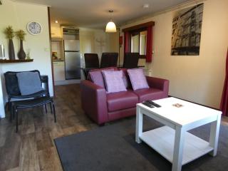 Chalet nr 21 op Bospark Trimunt - Marum - 3
