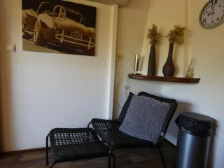 Chalet nr 21 op Bospark Trimunt - Marum - 1