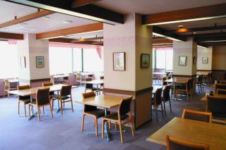 Shiga Kogen Hotel Shiga Sunvalley - Yamanouchi - 6