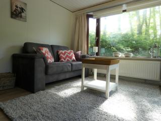Chalet nr 22 op Bospark Trimunt - Marum - 7