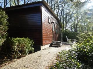 Chalet nr 22 op Bospark Trimunt - Marum - 9